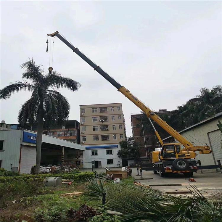 宜兴汽车吊出租多少钱？全面解析与市场行情